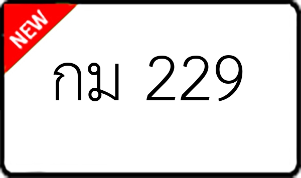 กม 229
